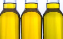 More Olive Oil May Bring Longer Life