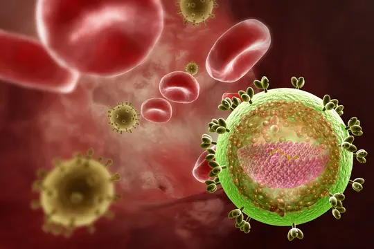 human immunodeficiency hiv virus