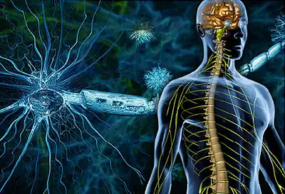 Nervous System Disorders