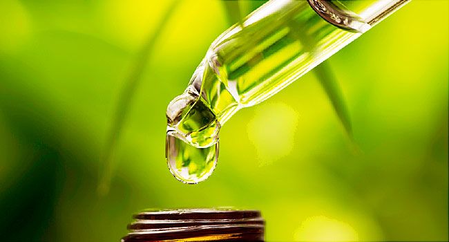 Natural Beauty Oils: How To Use Coconut Oil, Castor Oil, or Argan Oil