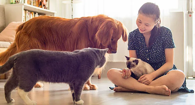 girl with cats and dog