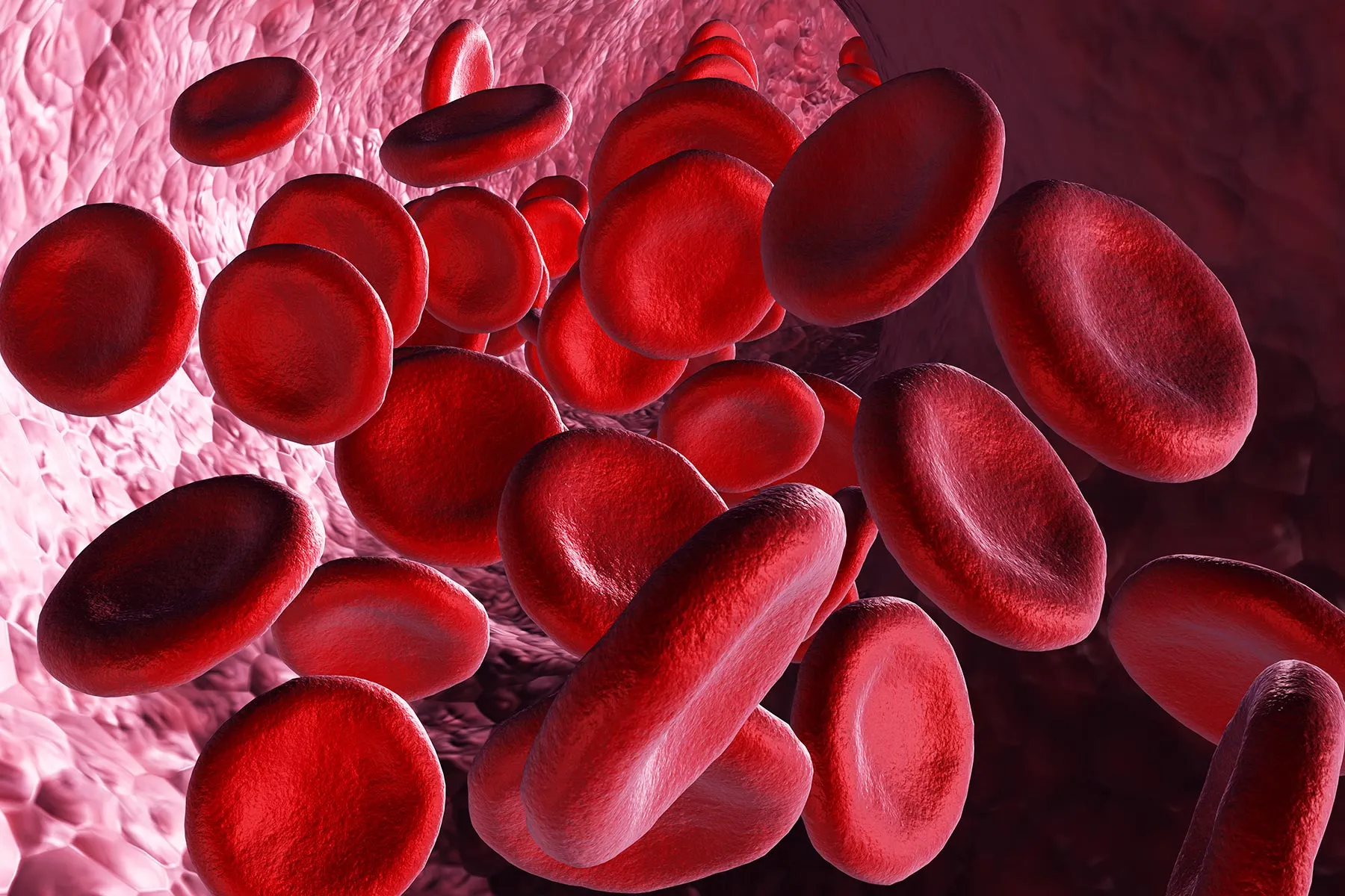 photo of medical illustration blood bacteria red f