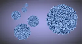 norovirus illustration