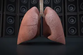 Photo of lungs 3d