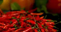 modafinil chili peppers
