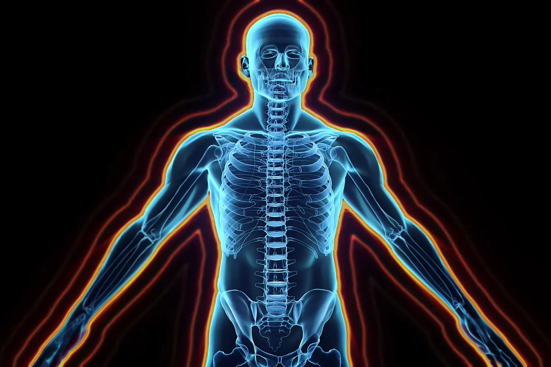 photo illustration of human body nervous system