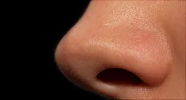 a nose