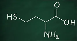 chemical formula of homocysteine