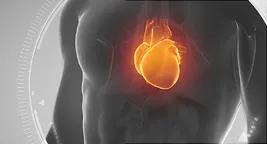 650x350_listicle_afib_facts_video