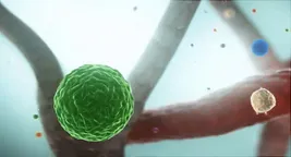 illustration of immune system