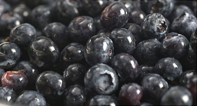 Video On Blueberry Health Benefits