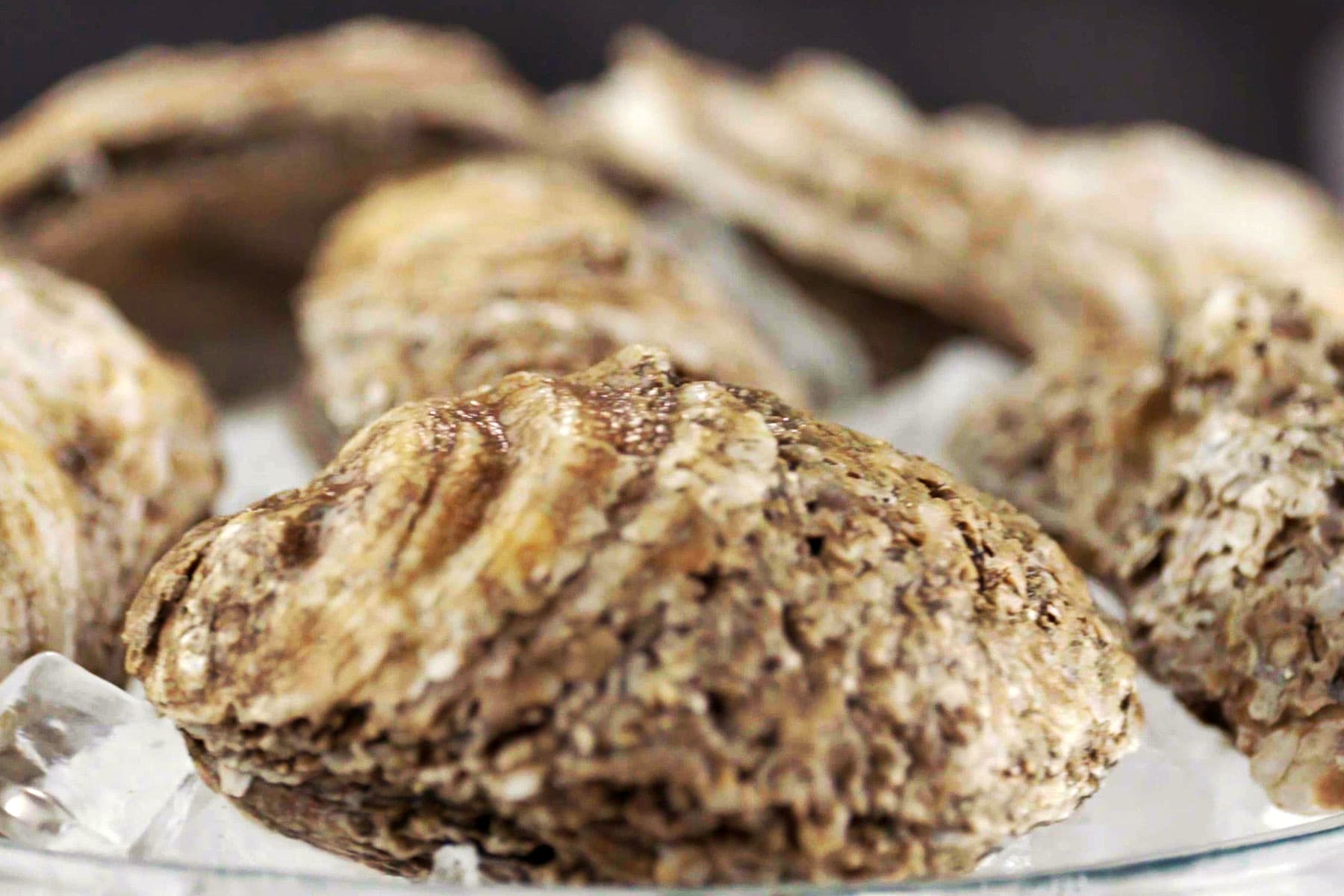 U.S. Norovirus Cases Linked to Canadian Oysters