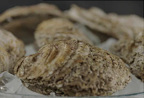 U.S. Norovirus Cases Linked to Canadian Oysters