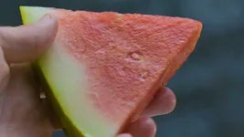 photo of  watermelon