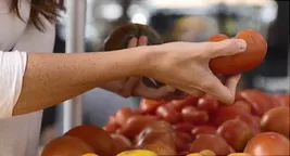 woman choosing tomatoes