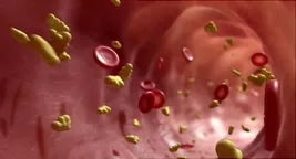 blood cells flow