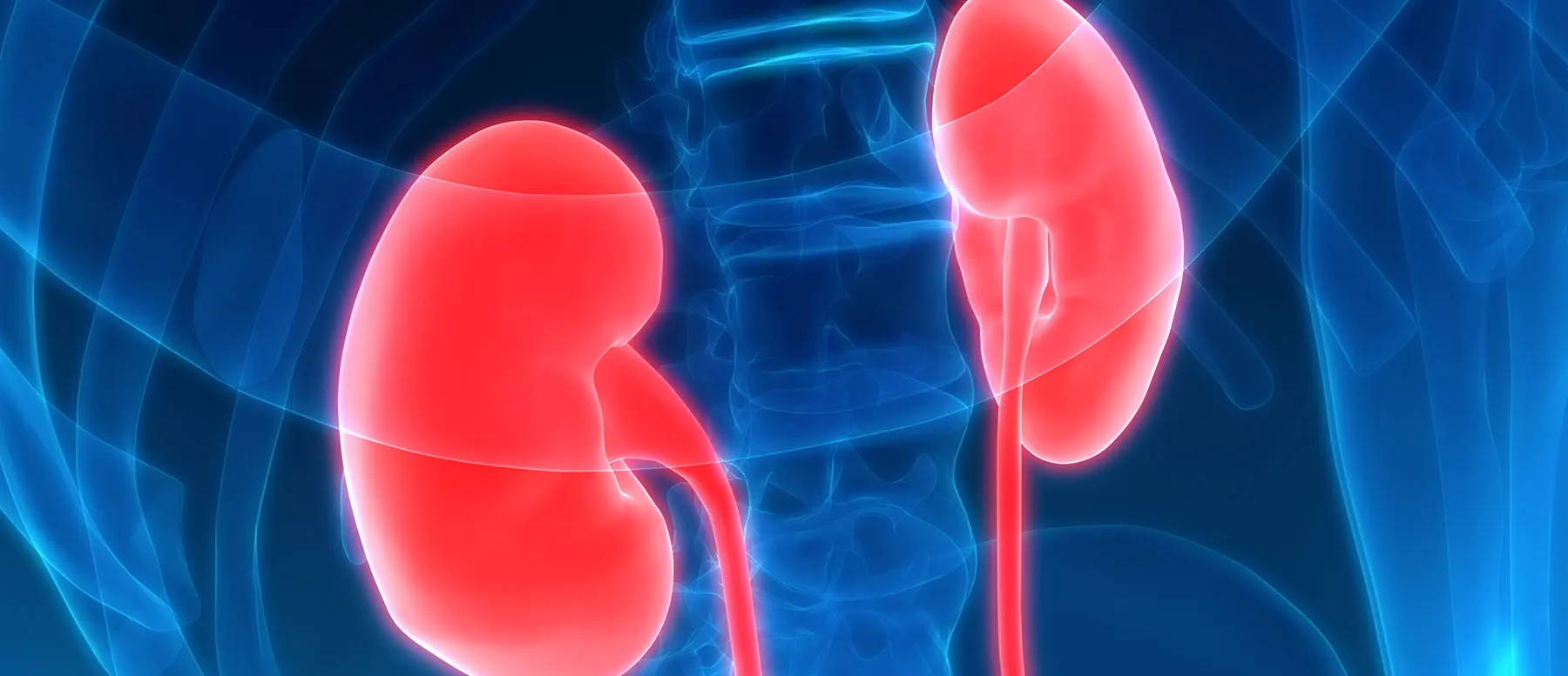 What Is Renal Cell Carcinoma (RCC)?