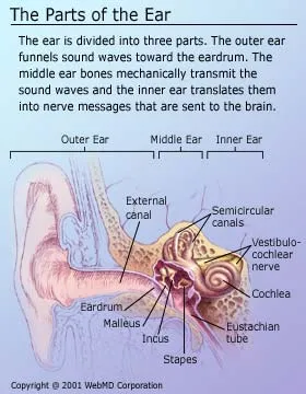 psoriasis in ear canal tinnitus