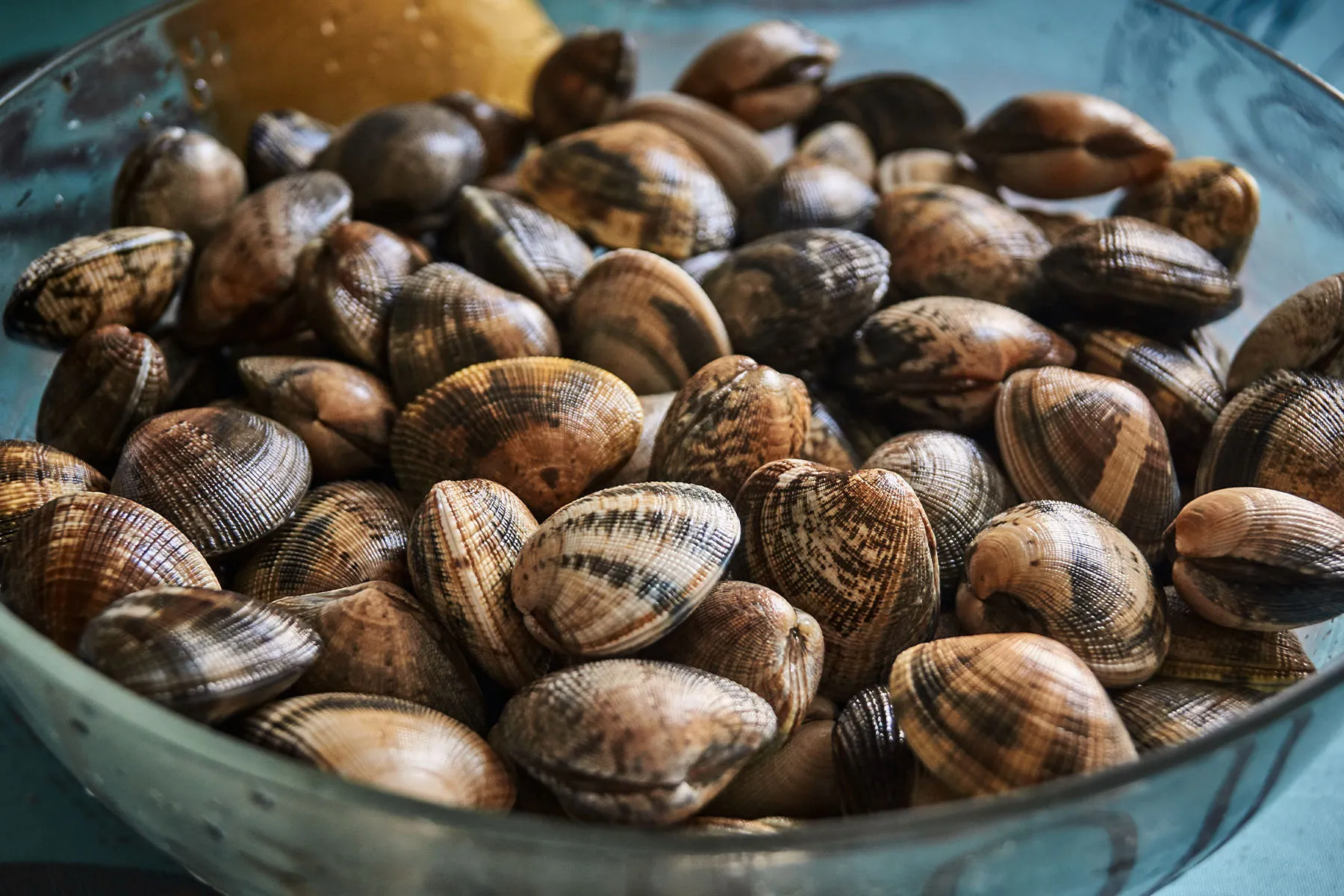 photo of clams