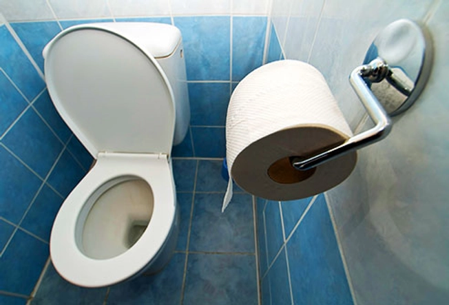 A Toilet Seat Can Make You Sick