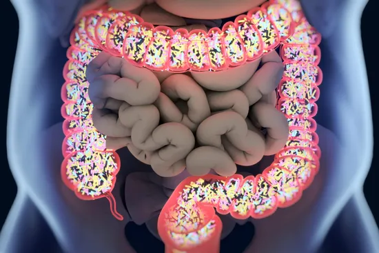 photo of gut microbiome