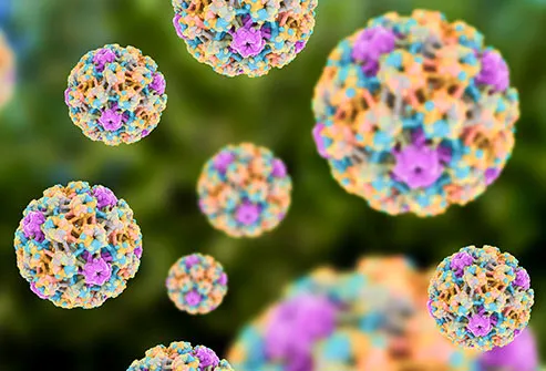 hpv virus where does it come from)