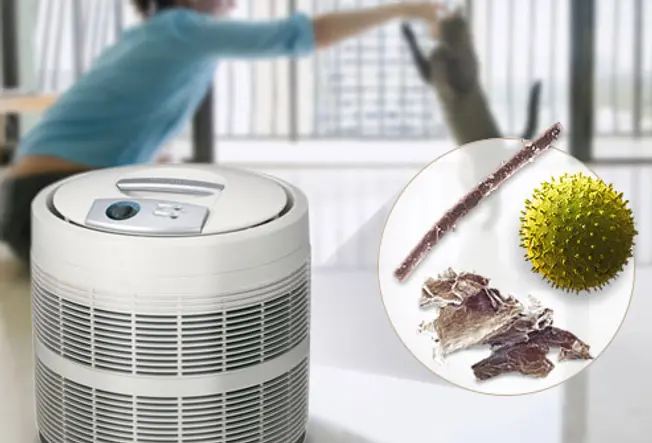Clean the Air With a HEPA Filter