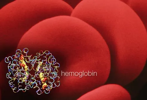 blood cells and hemoglobin