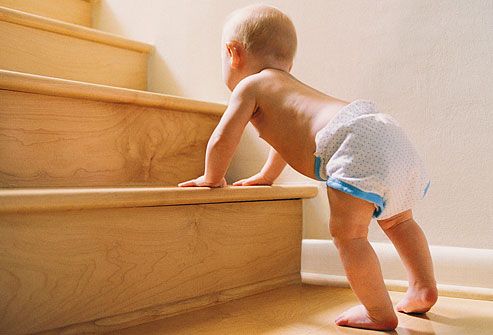 Baby about to climb stairs