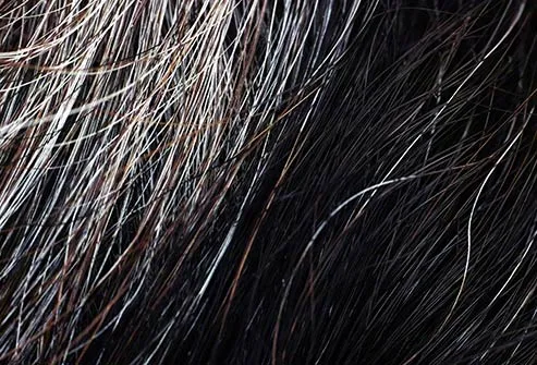 hair strands close up