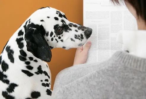 Man reading newspaper with dalmation