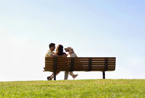 Couple Sitting on Bench With Dog