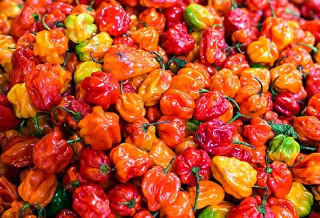 Foods That Hurt: Hot Peppers