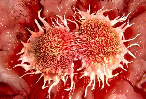 splitting cancer cells