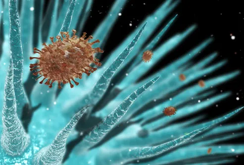 Conceptual image of flu viruses in lung airways