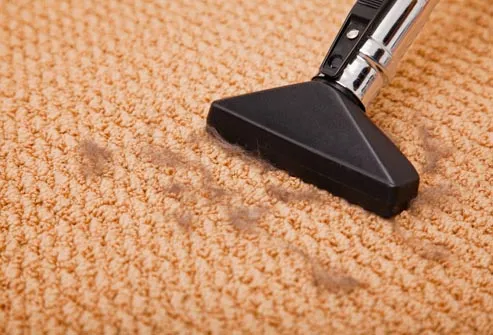 vacuuming cat hair off of carpet