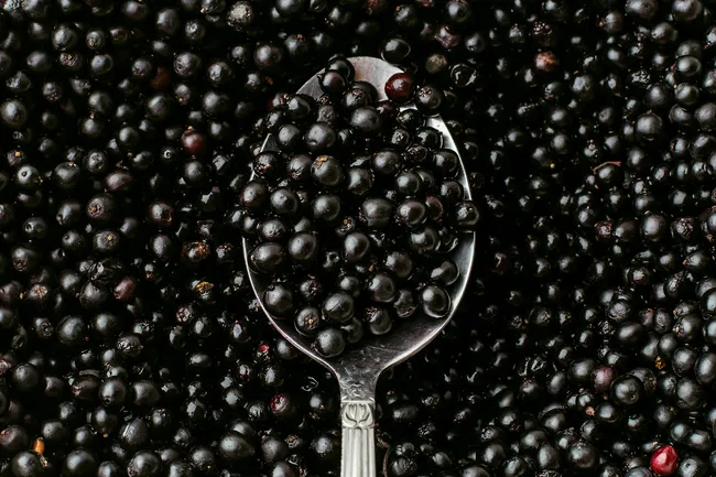 photo of elderberries