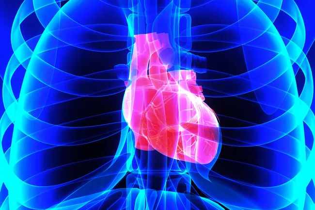 photo of heart illustration