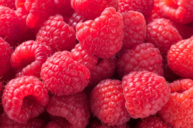 photo of raspberries close up