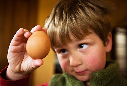 examining egg