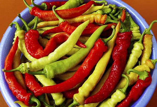 The Top Fat-Burning Foods (2022) Hot Peppers