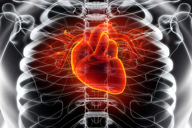 Warding Off Heart Disease