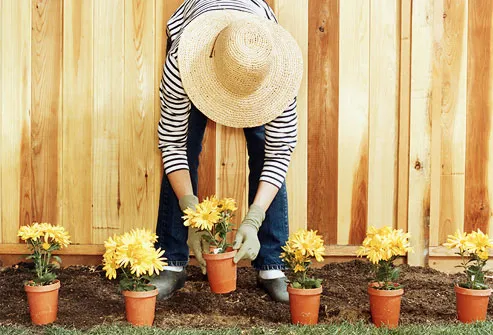 Mulher plantando flores no jardim