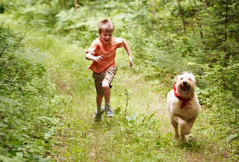 boy running with labradoodle in woods