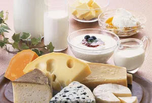 Assortment of dairy foods