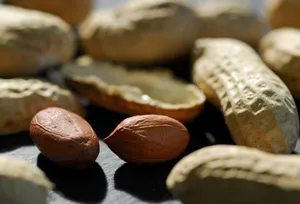 Close up of peanuts