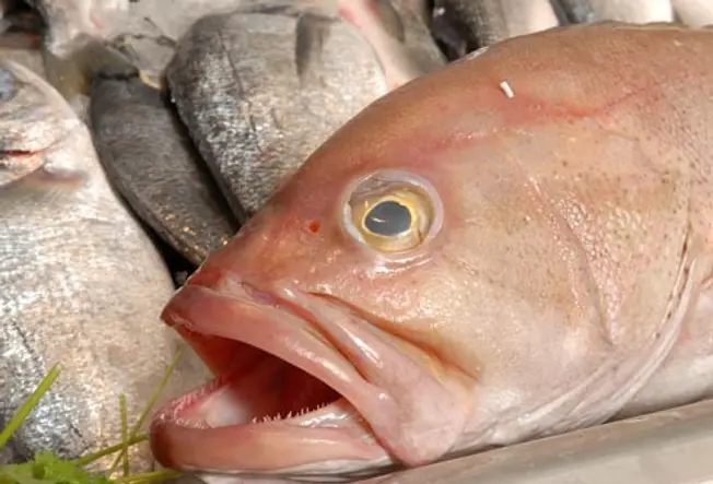 Ciguatera Poisoning: Fish
