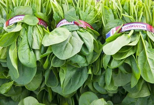 bundles of raw spinach