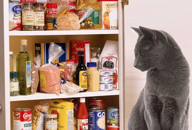 Kitchen Pantry: No Cats Allowed