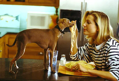 Woman feeding pasta to dog